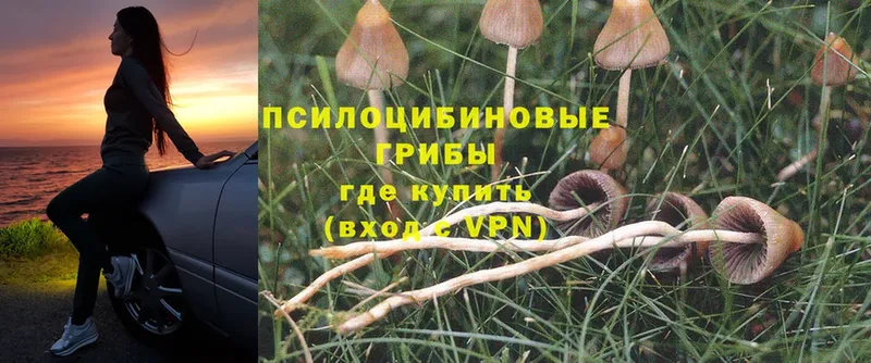 Псилоцибиновые грибы Psilocybine cubensis  блэк спрут tor  Комсомольск 